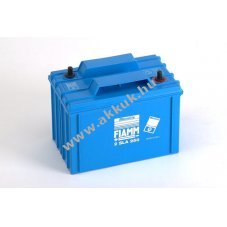 lom akku 2V 250Ah FIAMM tpus 2SLA 250