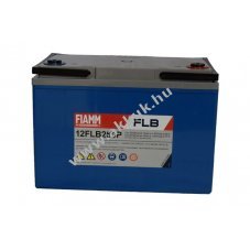 lom akku 12V 70Ah FIAMM tpus 12FLB250P