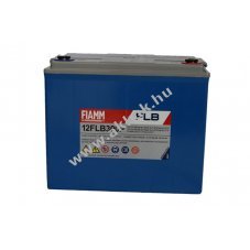 lom akku 12V 75Ah FIAMM tpus 12FLB300P