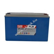 lom akku 12V 100Ah FIAMM tpus 12FLB400P