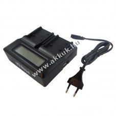 Helyettest dupla akkutlt Panasonic CGR-D220, VW-VBD29, VBD58, VBD78