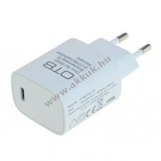 Helyettest hlzati tlt adapter USB-C csatlakozval, power delivery, 20W