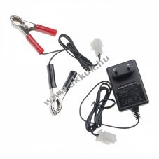 Helyettest hlzati tlt tpegysg fnyr akkuhoz