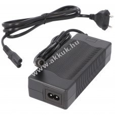 Helyettest hlzati tlt BionX 48V akku-hoz