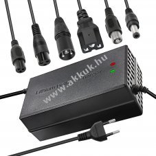 Helyettest e-bike Li-ion hlzati tlt tbbfle csatlakozval, 67.2V 5A