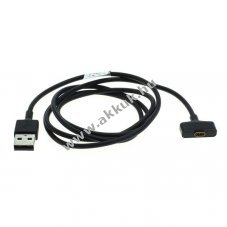 OTB Fitbit Ionic USB tltkbel