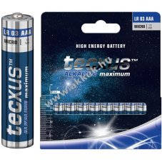 Tecxus AAA (Micro) alk�li elem 10db/csomag 1,5V