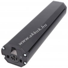 PowerPack 36V 12,8Ah 461Wh Bosch Active Plus Performance CX horizontal 36,1cm