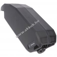 e-bike-vision PowerPack 36V 15Ah 540Wh Li-ion