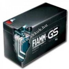 FIAMM MonoLite 6SLA100 6V 100Ah akku AGM �lom-zsel�s