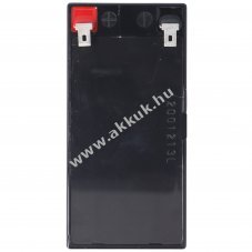 Helyettes�t� elem mem�ria elem PLC (SPS) Mercedes Benz N000000004039 12V 1,2Ah AGM