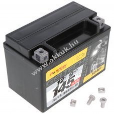 Panther Gel akku 12V 8Ah 80A YTX9-BS