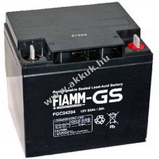 Fiamm FGC24207 12V 42Ah M6 csavaros csatlakoz� akku AGM �lom-zsel�s