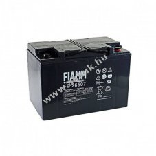 Fiamm FG26507 12V 65000mAh M6 csavaros akku AGM �lom-zsel�s