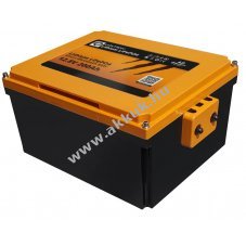 LIONTRON LiFePO4 akkumul�tor 12,8V 200Ah Smart BMS