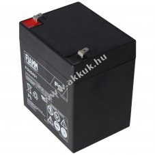 �lom akku GE Beatmungsger�t Carestation 12V 4,5Ah