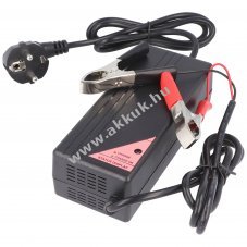 LiFePO4 gyors t�lt� 12V 10A intelligens