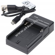 Helyettes�t� akku USB t�lt� Sony FM50 FM55H F550 Panasonic VBD1 JVC V607 NiMH