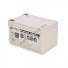 Helyettes�t� akku CYC-AGM-12-12 12V 12Ah AGM �lom-sav 151x98x94mm T2 Faston 250 6,3mm