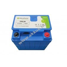 Helyettes�t� akku Akkupoint AP12V50-SM 12,8V 50Ah LiFePO4