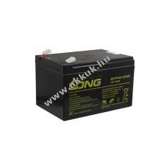LONG WP14-12SE 12V 14000mAh 6,3mm Faston 151x98x100mm 4,4kg akku �lom-savas