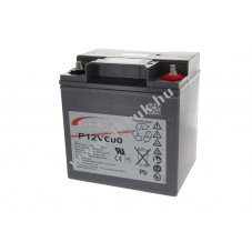 Exide Sprinter P12V600 12V 24Ah akku AGM �lom
