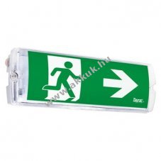 TAURAC Tokyo LED v�szkijelz� 4W 3h B1D14601 �tl�tsz� fal- �s mennyezeti IP65 tesztgomb