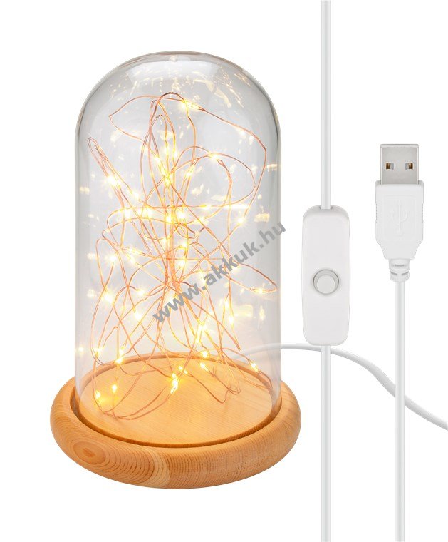 Goobay üvegkupola fa talppal 5m 50 micro-LED melegfehér 2700K USB115cm