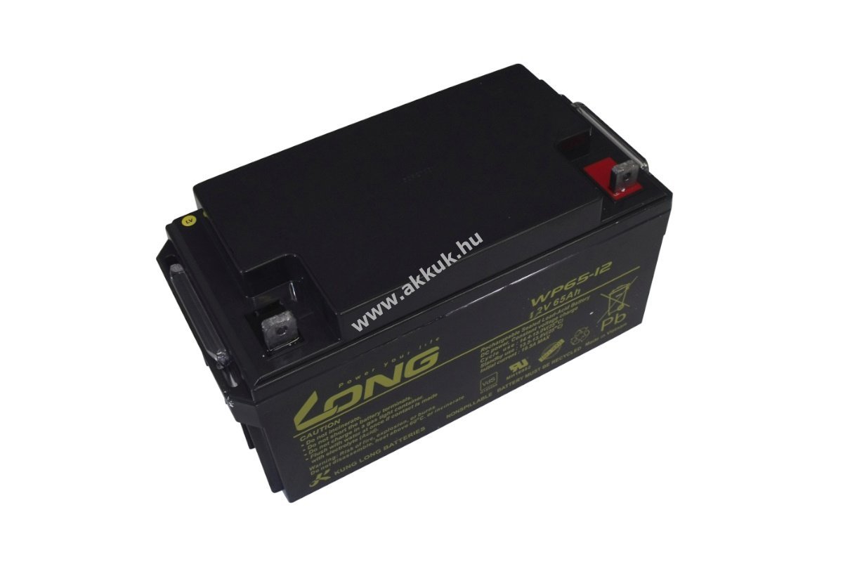 LONG WP65-12 12V 65Ah akku Pb