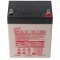 Hawker Genesis NP2.9-12 12V 2,9Ah akku AGM/�lom-zsel�s