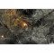 Konstsmide LED k�lt�ri-belt�ri f�nyf�z�r 120 LED bernstein 24V 3640-810