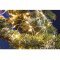 EGB LED-12V-360-H mikro f�nyf�z�r 360 melegfeh�r 12V 18m vil�g�t� hossz IP44
