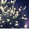 Lotti LED minif�z�r 360 melegfeh�r 25,7m IP44 30V 7 f�nyhat�s