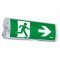 TAURAC Tokyo LED v�szkijelz� l�mpa 6W 3h fal- �s mennyezeti IP65 tesztgomb �tl�tsz�