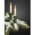 Hellum LED filament sz�rgyartyaf�z�r 20db k�lt�ri 230V elef�ntcsont E10 845594