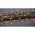 Konstsmide Micro LED f�rt�s f�nyf�z�r 200 LED borosty�n 3875-800