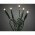 Konstsmide Micro LED f�nyf�z�r 10 LED melegfeh�r z�ld k�bel 24V t�pegys�g 6350-120 belt�ri