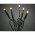 Konstsmide Micro LED-�g�sor 50LED melegfeh�r z�ld k�bel 24V 6353-120