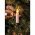 Konstsmide One String LED bels� f�z�r 24V 25LED 19,2m melegfeh�r 1004-020