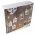 Best Season LED Photoclips f�nyf�z�r 10 LED 3xAA Mignon ceruza 1,5V Timer �tl�tsz� 165cm
