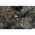 Konstsmide Micro LED f�nyf�z�r k�lt�ri 40 melegfeh�r LED 3610-140 csillog� effekt