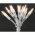 Konstsmide LED mini f�nyf�z�r 35 LED 230V melegfeh�r 6302-103 �tl�tsz� k�bel