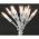 Konstsmide 6303-103 LED minif�z�r 50 LED 230V 7,35m melegfeh�r �tl�tsz� k�bel