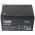 Fiamm FG21201 VdS G116015 12V 12Ah akku AGM �lom-zsel�s