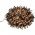 Konstsmide Micro LED cluster f�nyf�z�r 1500 LED melegfeh�r 30V IP44 3871-100