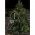 Konstsmide 1930-100 10db vezet�k n�lk�li LED gyertya 18cm t�vir�ny�t�val elemmel IP44 melegfeh�r