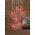 Lotti Twig Balls LED f�nyf�z�r sz�nv�lt�s 5m 138LED 6x O20cm 4,5V IP44 40724