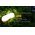 Nitecore LR30 kempingl�mpa 205lm 18650/CR123A