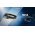 Nitecore NU45 fejl�mpa 1700lumen 3 f�nyforr�s be�p�tett 18650 4000mAh USB-C