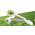 Careex kullancscsipesz 4x nagy�t�ssal �s LED vil�g�t�ssal, f�m fog�karokkal